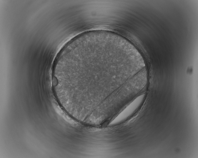 X0000113950892200911061301