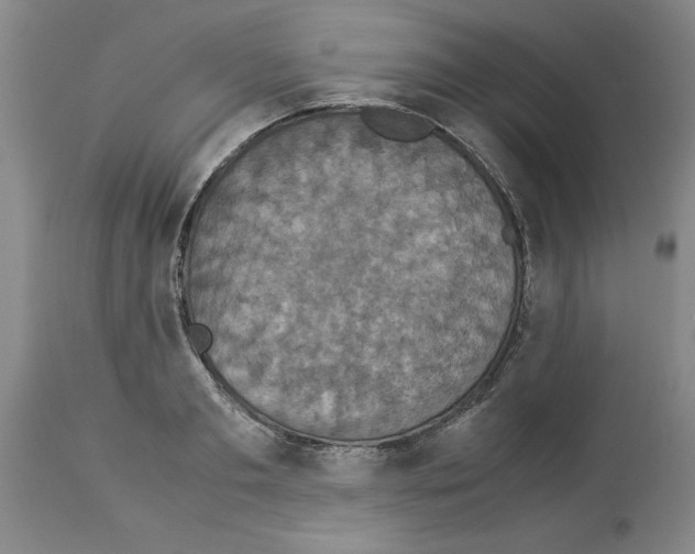 X0000113950893200911061301