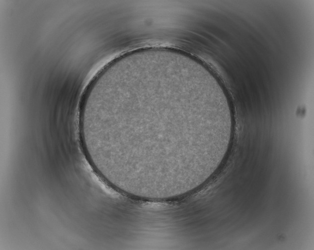 X0000113950894200911061301