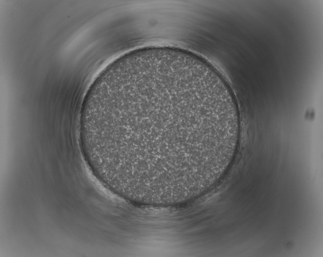 X0000113950895200911061301
