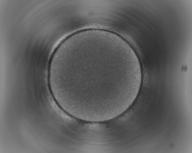 X0000113950896200911061301