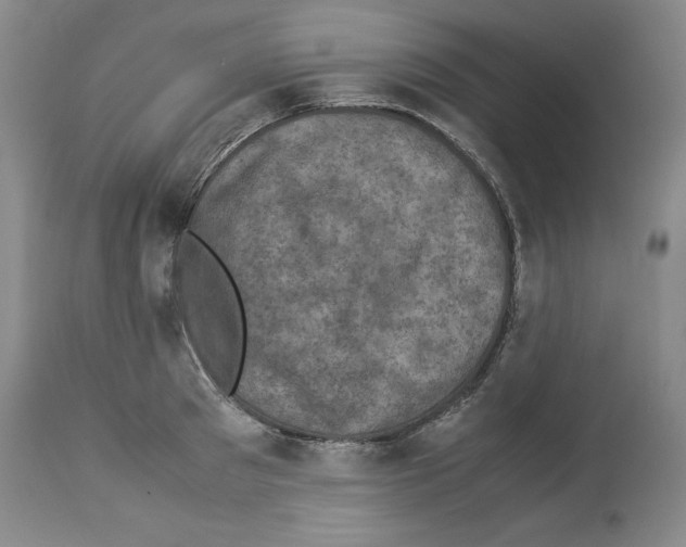 X0000113950897200911061301