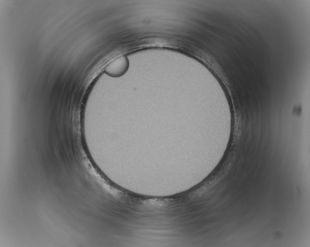 X0000113950898200911061301