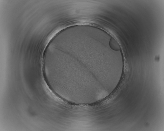 X0000113950899200911061301