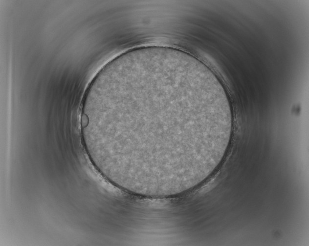 X0000113950900200911061301