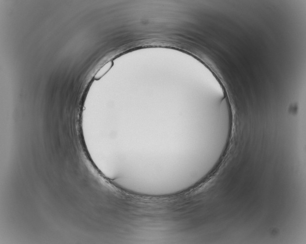 X0000113950901200911061301