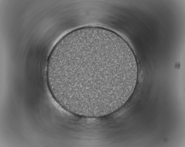 X0000113950903200911061301