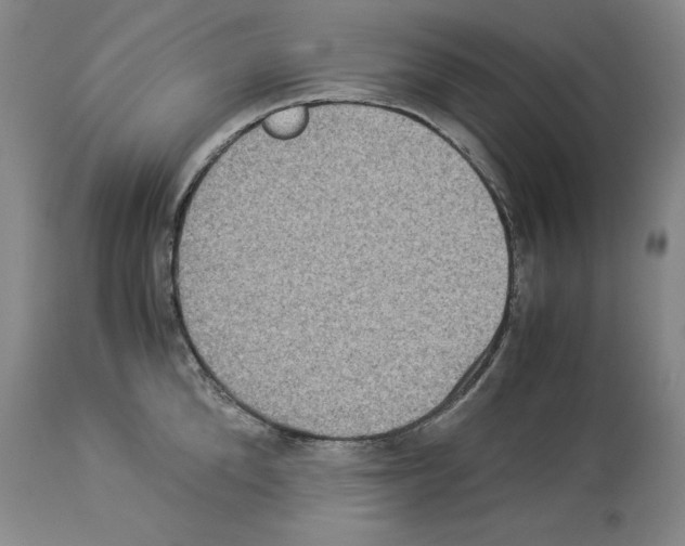X0000113950904200911061301