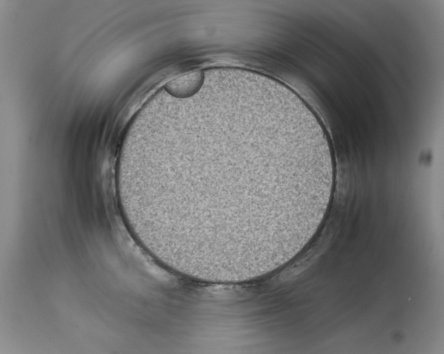 X0000113950906200911061301