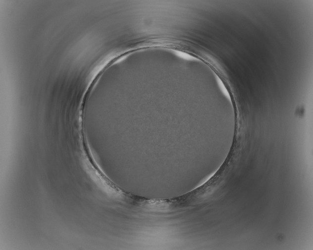 X0000113950907200911061301