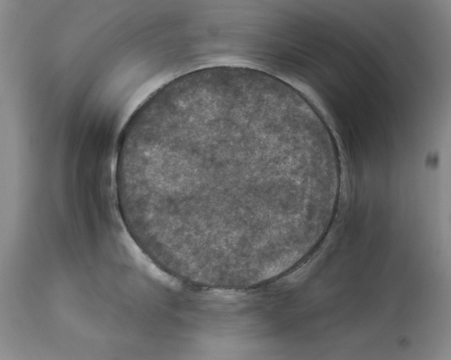 X0000113950910200911061301