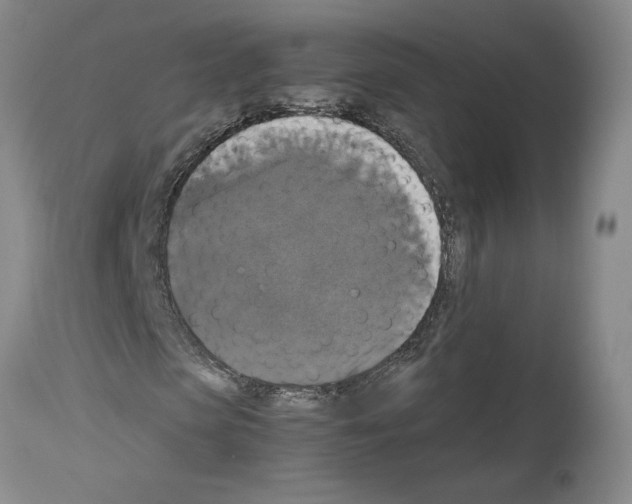 X0000113950913200911061300