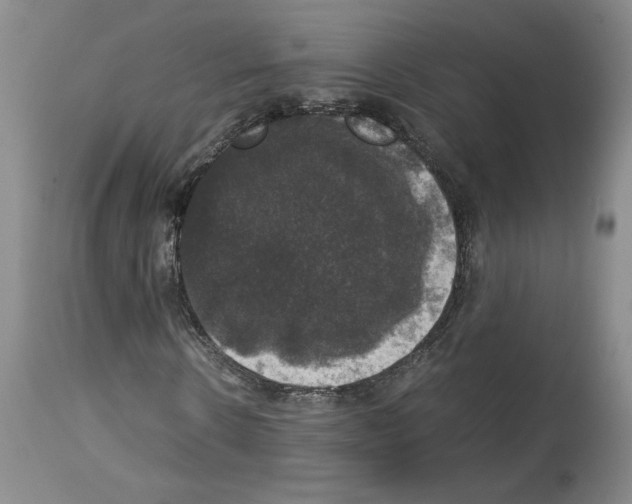 X0000113950914200911061300