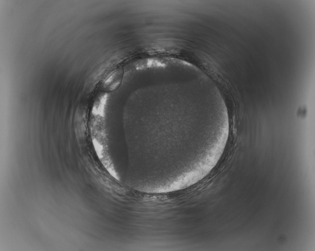 X0000113950915200911061300