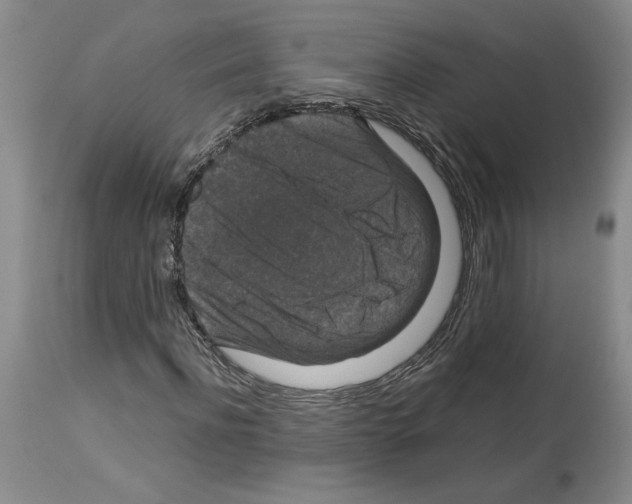 X0000113950916200911061300