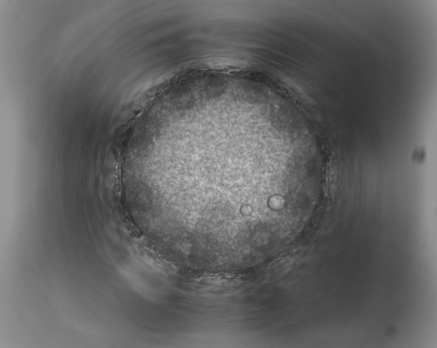 X0000113950917200911061300