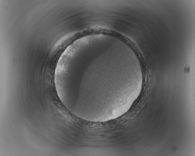 X0000113950919200911061300