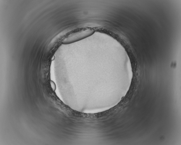 X0000113950920200911061300