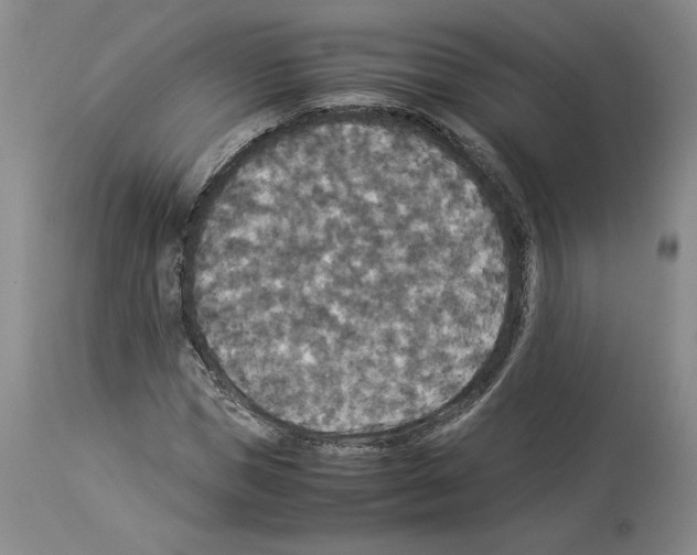X0000113950921200911061300