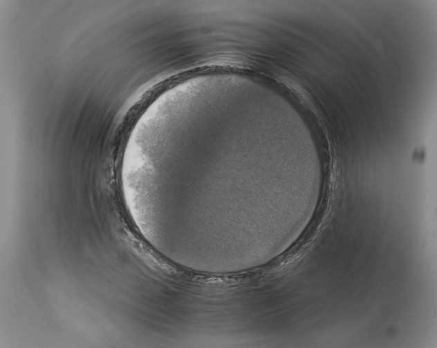 X0000113950923200911061300