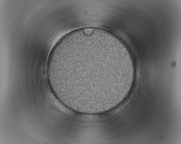 X0000113950924200911061300