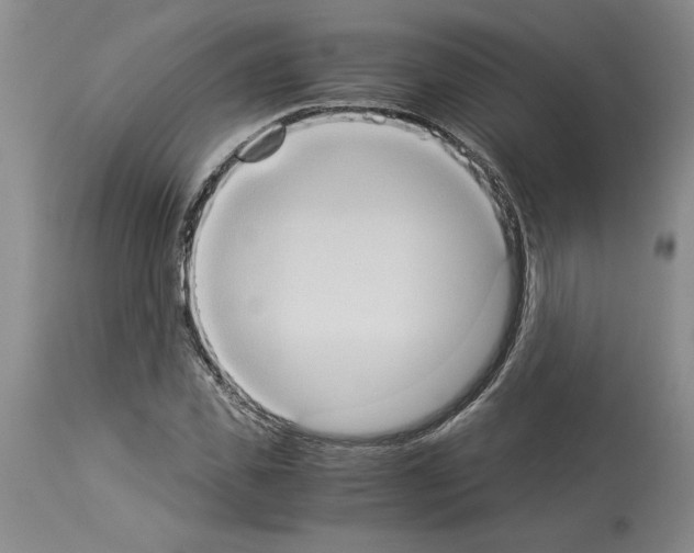 X0000113950925200911061300