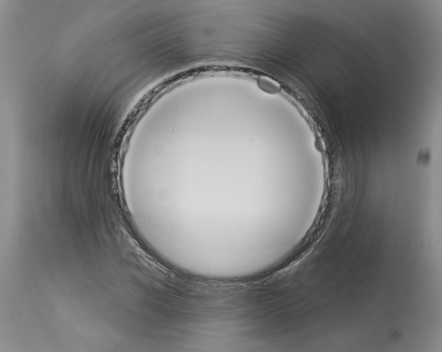 X0000113950926200911061300