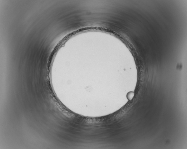 X0000113950927200911061300