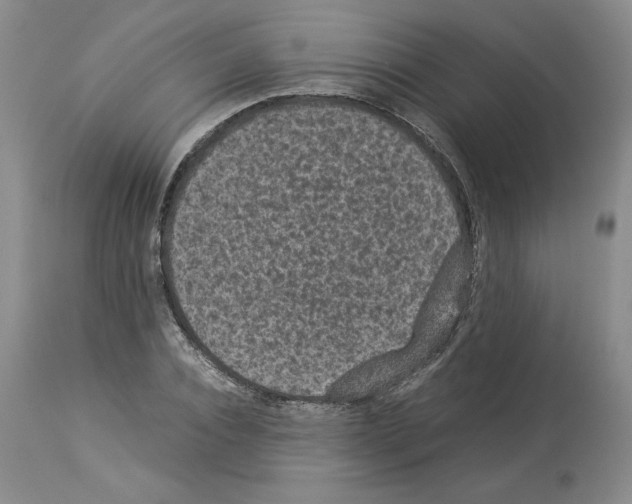 X0000113950928200911061300