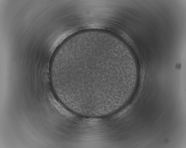 X0000113950930200911061300