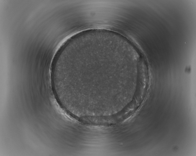 X0000113950932200911061300