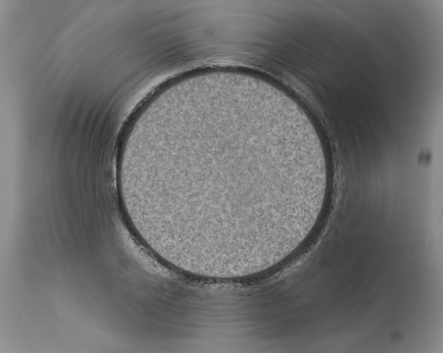X0000113950934200911061300