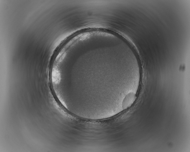 X0000113950935200911061300