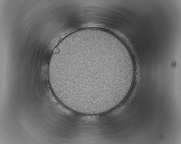 X0000113950937200911061300