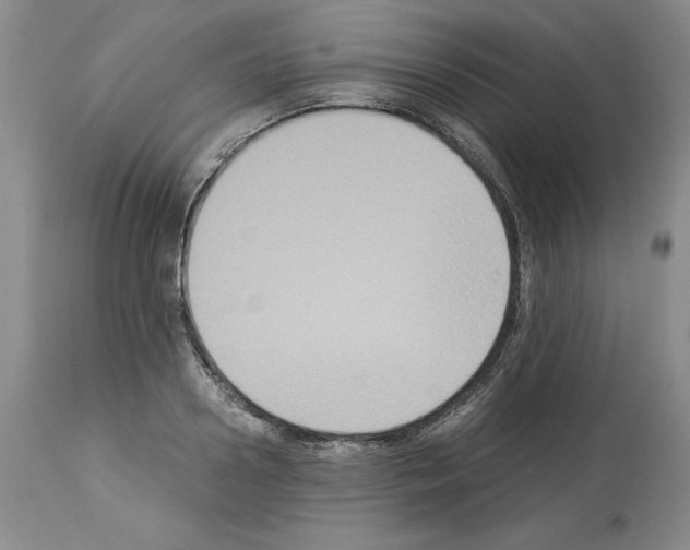 X0000113950938200911061300