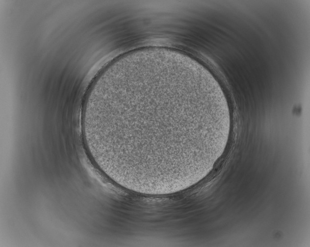X0000113950939200911061300