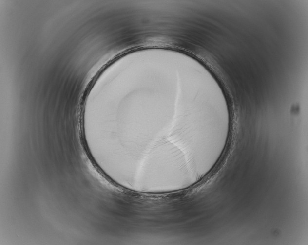 X0000113950941200911061300