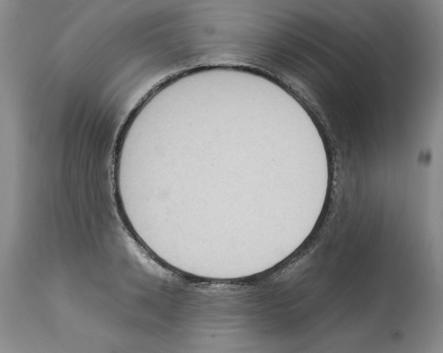 X0000113950942200911061300