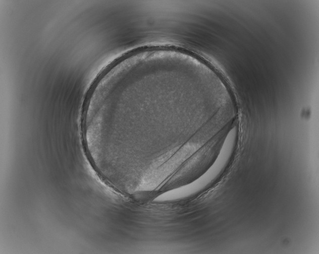X0000113950943200911061300