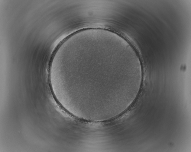 X0000113950944200911061301
