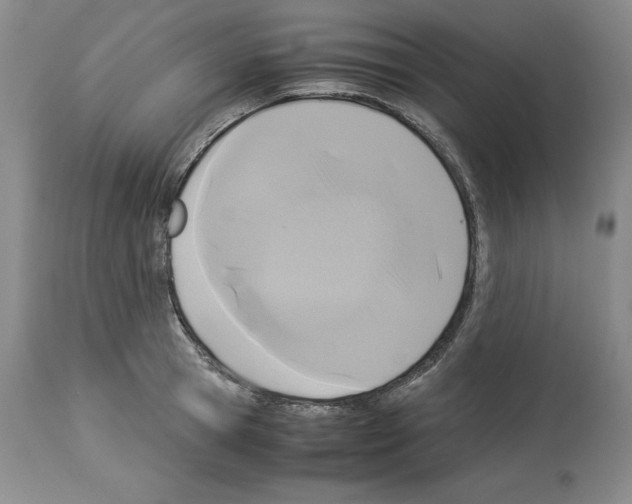 X0000113950945200911061301