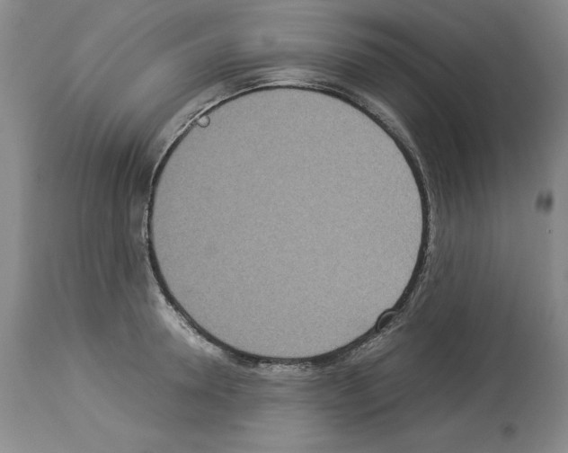 X0000113950946200911061301