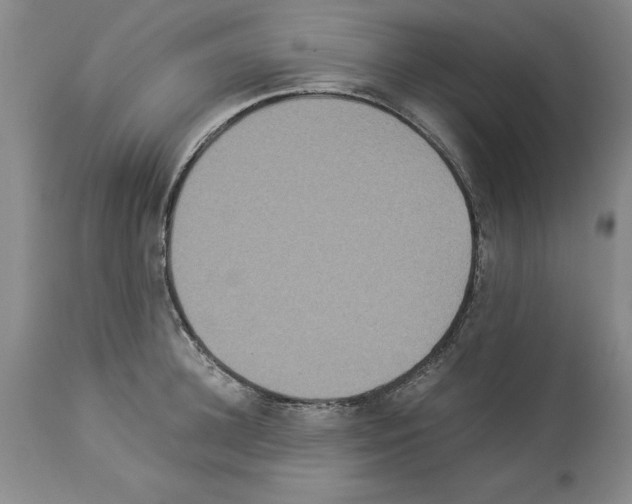 X0000113950948200911061301