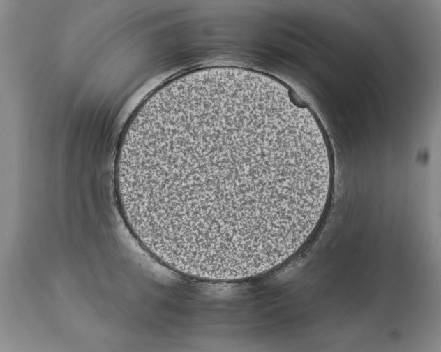 X0000113950949200911061301