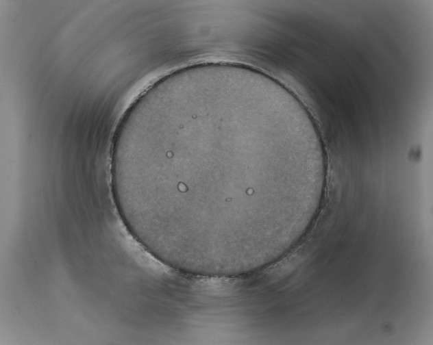X0000113950950200911061301