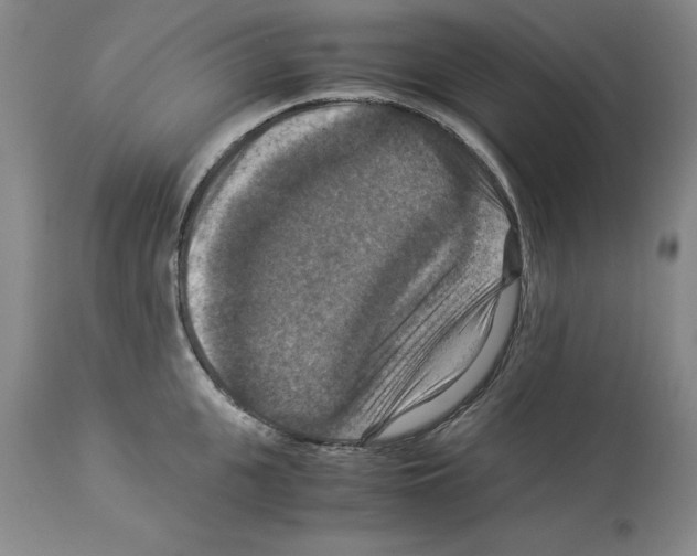 X0000113950951200911061301