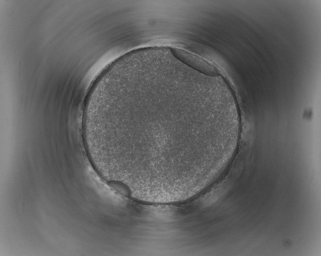X0000113950952200911061301