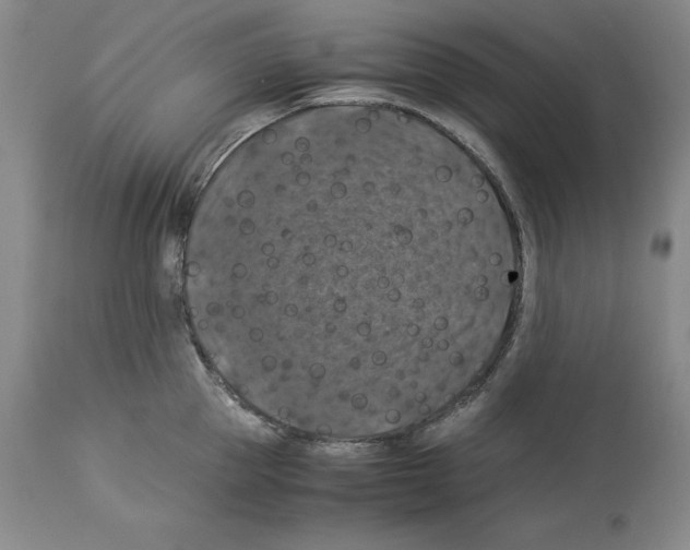 X0000113950953200911061301