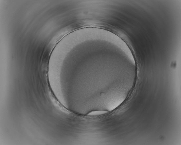 X0000113950954200911061301