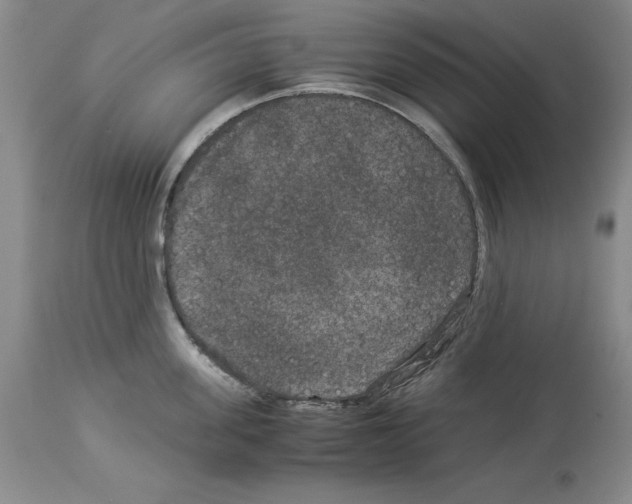 X0000113950955200911061301